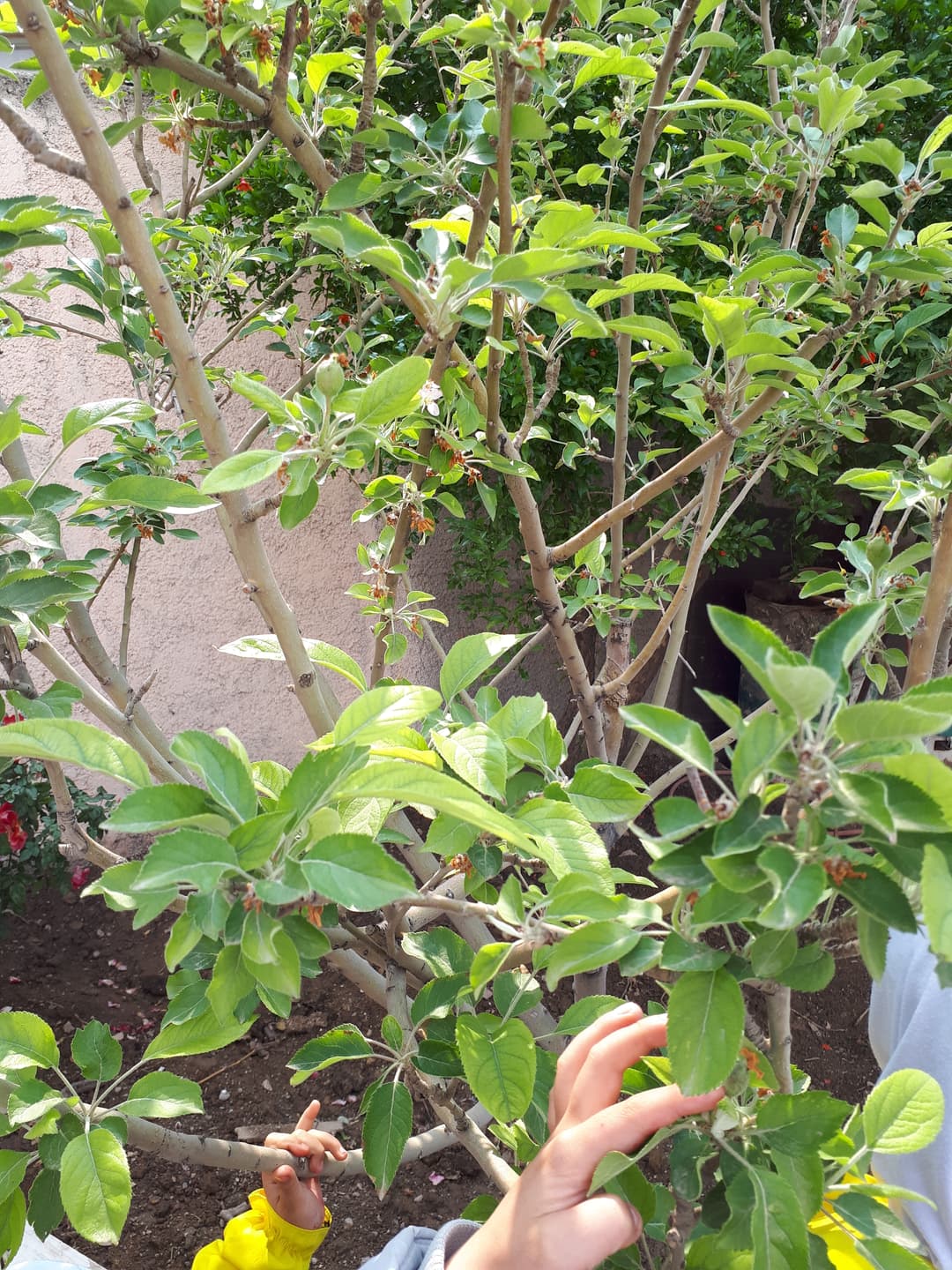 تصویر مقاله